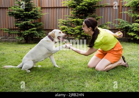 Donna felice con il cane al cortile posteriore Foto Stock