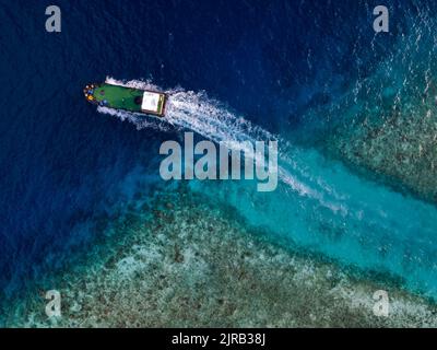 Maldive, Atollo Kaafu, Himmafushi, veduta aerea di motoscafo che naviga attraverso le acque costiere Foto Stock