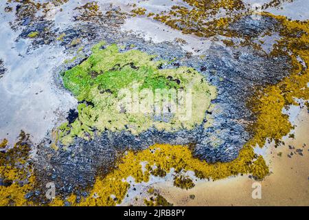 Norvegia, Nordland, Drone vista della costa dell'isola di Andoya Foto Stock
