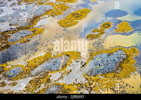 Norvegia, Nordland, Drone vista della costa dell'isola di Andoya Foto Stock