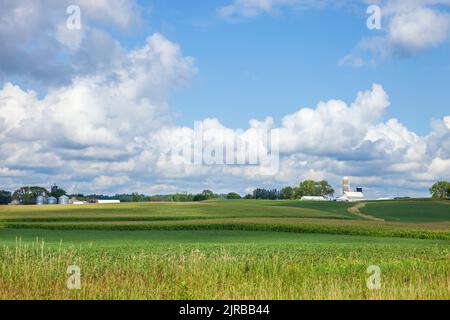 Fattorie e campi di mais e soia nelle giornate di sole con nuvole durante la tarda estate nel Midwest Foto Stock