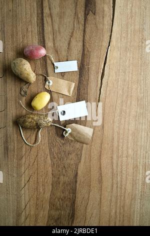 Studio shot di diverse varietà di patate etichettate piatto posato su sfondo di legno Foto Stock