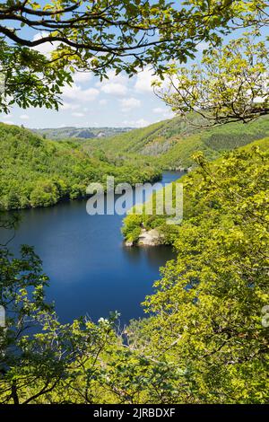 Lago Obersee tra verdi colline nelle giornate di sole al Parco Nazionale di Eifel, Germania Foto Stock