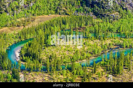 Norvegia, Nordland, Vista del fiume Nordfjordelva che scorre attraverso la valle nel Parco Nazionale di Rago Foto Stock