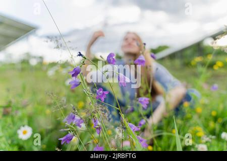 Fiori freschi sul campo con la donna seduta sullo sfondo Foto Stock