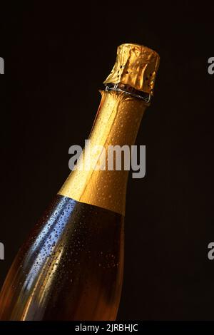 Shot da studio di una bottiglia di champagne ghiacciato Foto Stock