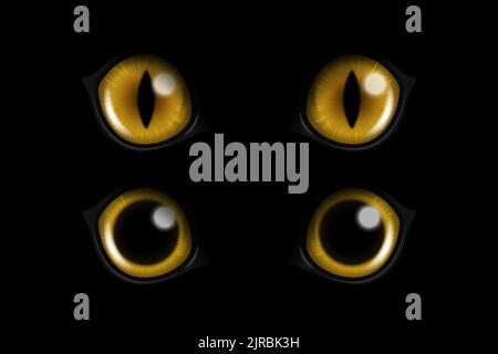 Vector 3D realistico giallo rotondo pipistrelli incandescenti occhi di un gatto nero Set. Cat Look in The Dark Black background Closeup. Gatto incandescente o Panther Eyes Illustrazione Vettoriale
