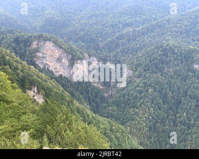 Riserva forestale di Perućica nel Parco Nazionale di Sutjeska, Bosnia ed Erzegovina. Una delle ultime foreste primordiali d'Europa, patrimonio dell'umanità dell'UNESCO. Foto Stock