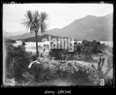 [Lake Wanaka East], 1883, Nuova Zelanda, di Burton Brothers. Foto Stock