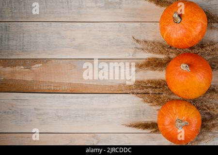 Autunno sfondo minimalista. Zucche mature e spighe di grano su tavole di legno. Concetto di raccolto e di ringraziamento. Spazio di copia. Foto Stock