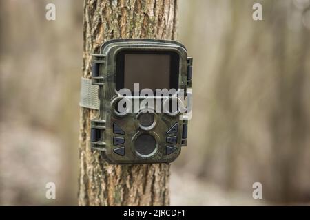 La trappola della macchina fotografica di monitoraggio della fauna selvatica attaccata ad un albero da una cinghia nella foresta autunnale Foto Stock