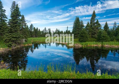 Un piccolo laghetto con riflessi nel Parco Nazionale di Riding Mountain, Manitoba, Canada. Foto Stock