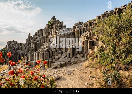 Basalto rock chiamato Panska skala o Varhany situato a Kamenicky Senov, repubblica Ceca. Sito protetto, nazionale naturale Monument.Five a sei lati colonna Foto Stock