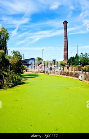 River Foss, Foss Island, York, Inghilterra Foto Stock