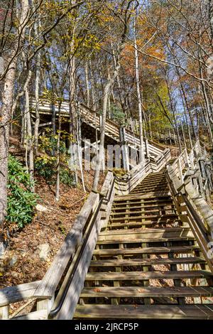 La passerella in legno che conduce a vedute dal Canyon Rim Visitor Center situato presso il New River Gorge National Park and Preserve, West Virginia. Foto Stock