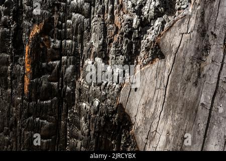 Bordo dell'immagine di sfondo del vecchio log bruciato e del legno grigio Foto Stock