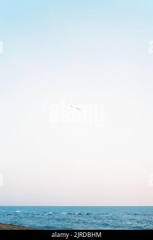 Due gabbiani volano in alto nel cielo sul mare Foto Stock