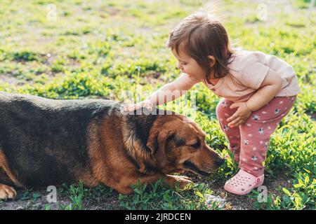 La bambina caucasica accarezzava il suo cane purefatto, mentre uscivano all'aria aperta. Stile di vita attivo e sano. Relazione di attività. Foto Stock