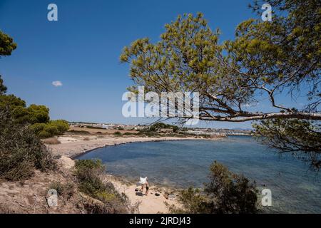 Racó de s'Estalella, s Estanyol de Migjorn, Llucmajor, Maiorca, Spagna Foto Stock