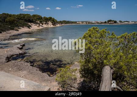 Racó de s'Estalella, s Estanyol de Migjorn, Llucmajor, Maiorca, Spagna Foto Stock