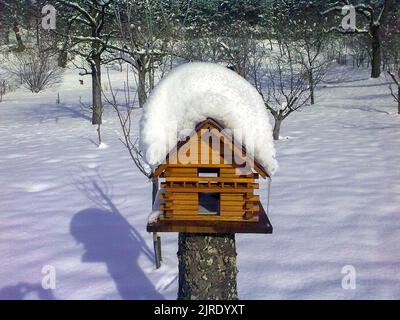 Un primo piano di una casa di uccelli di legno su un palo coperto di neve Foto Stock