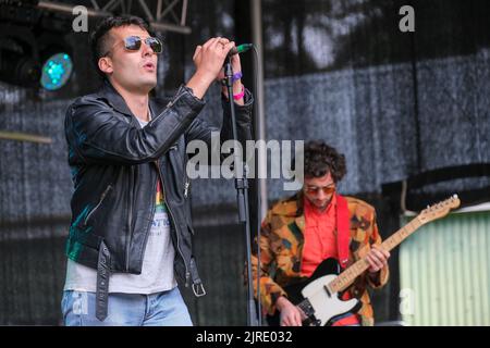 Javier sola dei Gulps che si esibisce al Weyfest Festival di Tilford, Inghilterra, Regno Unito. Agosto 20, 2022 Foto Stock