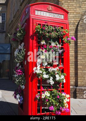 Chiosco telefonico riutilizzato con esposizione di fiori estivi, Bath, Somerset. Temi: Riutilizzo, riciclaggio, evoluzione, cambiamento, pensiero nuovo Foto Stock