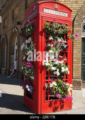 Chiosco telefonico riutilizzato con esposizione di fiori estivi, Bath, Somerset. Temi: Riutilizzo, riciclaggio, evoluzione, cambiamento, pensiero nuovo Foto Stock