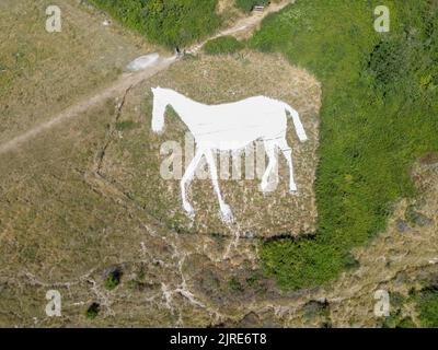 veduta aerea del cavallo bianco di litlington tagliato per la prima volta nel 1924 a sud in sussex orientale Foto Stock