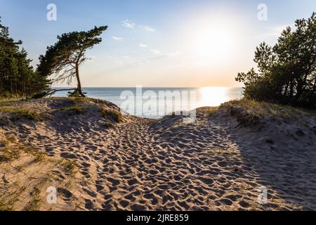 Dune di sabbia contro la luce del tramonto sulla spiaggia del Mar Baltico Foto Stock