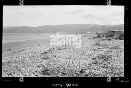 Panorama : sciarpa di faglia di Wellington da est e Petone Beach, 05 ottobre 1952, di Leslie Adkin. Foto Stock