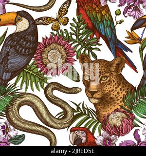 Animali tropicali senza cuciture modello di sfondo design. Stile inciso. leopardo disegnato a mano, serpente, toucan, scarlatto macaw, coda di rondine gigante africana Illustrazione Vettoriale