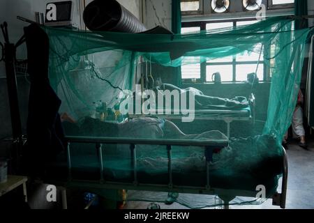 Kathmandu, NE, Nepal. 24th ago, 2022. Un paziente affetto da dengue riposa all'interno di una zanzariera al Sukraraj Tropical and Infectious Disease Hospital di Kathmandu, Nepal il 24 agosto 2022. (Credit Image: © Aryan Dhimal/ZUMA Press Wire) Foto Stock