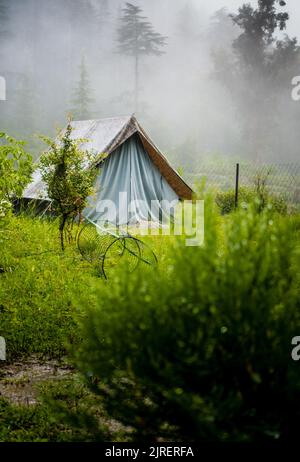 Un luogo turistico nei prati con un campo tra foresta di deodari e montagne sullo sfondo. Uttarakhand India. Foto Stock