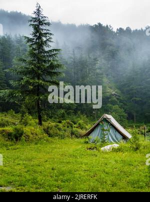 Un luogo turistico nei prati con un campo tra foresta di deodari e montagne sullo sfondo. Uttarakhand India. Foto Stock