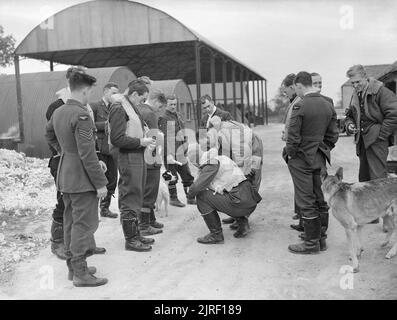 Spitfire piloti di n. 19 Squadron RAF raccogliere a Manor Farm, Fowlmere, vicino a Duxford nel Cambridgeshire, settembre 1940. I piloti di n. 19 Squadron RAF raccogliere a Manor Farm, Fowlmere, Cambridgeshire, dopo una sortita, . Foto Stock