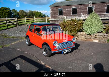 Classico Austin Mini parcheggiato su una strada di ghiaia in un ambiente rurale con scuderie in legno e recinzione dietro Foto Stock