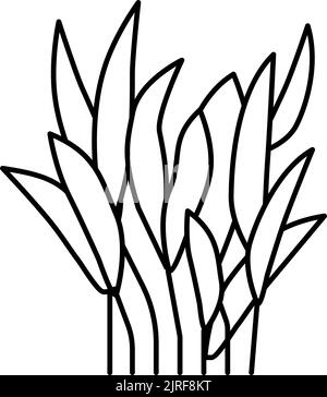 illustrazione del vettore icona java fern line Illustrazione Vettoriale