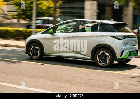 BYD Dolphin piccola auto elettrica hatchback che viene guidata sulla strada nel quartiere di Putuo, Shanghai, Cina. Foto Stock