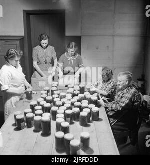 Le donne di Hovingham in Yorkshire stick etichette sui vasi di marmellata al villaggio centro di inceppamento, ottobre 1942. Le donne di Hovingham stick etichette sui vasi di marmellata al villaggio centro di inceppamento. Tutti i jam è realizzato da eccedenze di frutta che è stato coltivato in loco. Da sinistra a destra, le donne sono: Miss Emily Sawdon, La signora Johnson (moglie di giardiniere Herbert Johnson), la signora Hackett (moglie del maggiordomo a Hovingham Hall), la signora campana e 80 anni la Signora Ivy Sawdon. Foto Stock