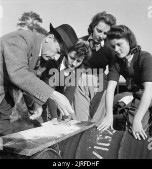 Arresto che Rat- il lavoro delle Donne di terra Armata Rat Catchers, Sussex, 1942. Foto Stock