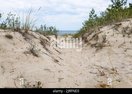 Il percorso attraverso le dune fino ad una spiaggia sabbiosa sul Mar Baltico Foto Stock