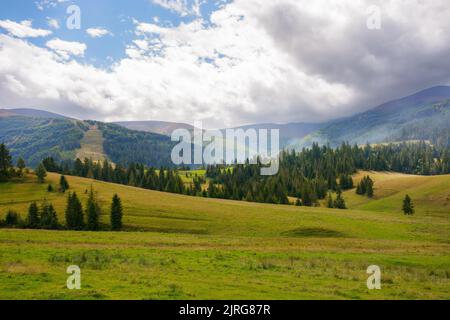 paesaggio rurale transcarpaziano. alberi e prati erbosi sulle colline ai piedi del crinale borzhava montagna. caldo sole nel mese di settembre Foto Stock