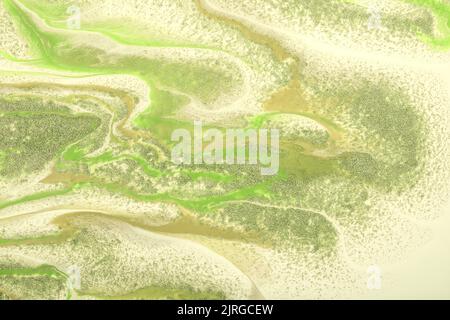 Astratto fluido arte sfondo verde chiaro e beige colori. Marmo liquido. Pittura acrilica su tela con linee e sfumature di oliva lucenti. Inchiostro pastello Foto Stock