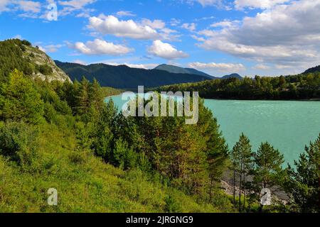 Bel paesaggio estivo soleggiato sulla riva rocciosa del fiume di montagna turchese veloce Katun, colline e scogliere con fitta foresta coperta. Tempo soleggiato w Foto Stock