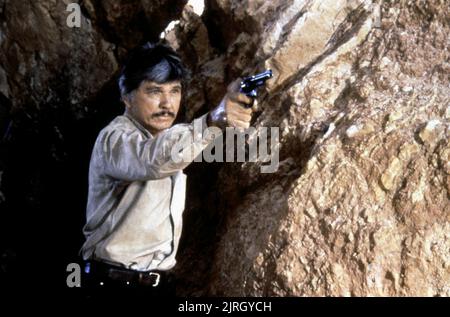 CHARLES BRONSON, IL MALE CHE GLI UOMINI FANNO, 1984 Foto Stock