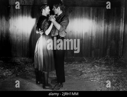 KELLY MCGILLIS, Harrison Ford, testimonianza, 1985 Foto Stock