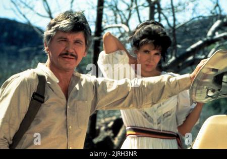 CHARLES BRONSON THERESA SALDANA, il male che fanno gli uomini, 1984 Foto Stock