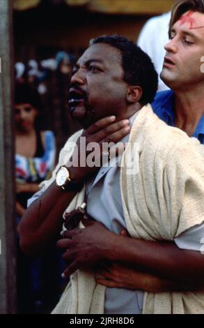 PAUL WINFIELD, Bill Pullman, il Serpente e l'arcobaleno, 1988 Foto Stock