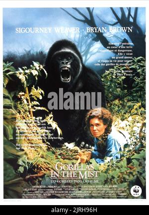 GORILLA, Sigourney Weaver, Gorilla nella nebbia, 1988 Foto Stock